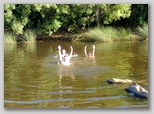 El agua - Tue, 27 Jul 2010 02:11:38 GMT